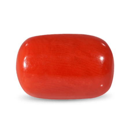 Red Coral loose gemstone — premium quality, supplied by Jai Impex Jaipur